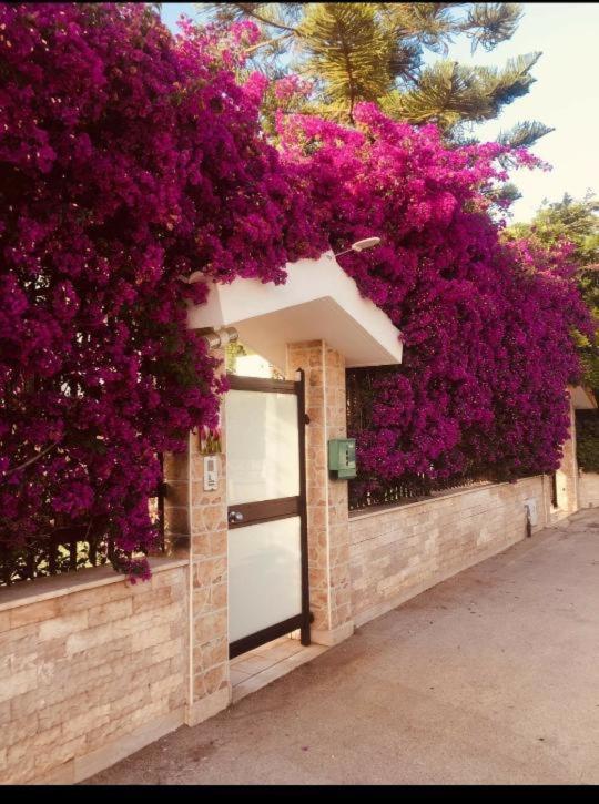 Tulipano Rosso Apartamento Bari Exterior foto