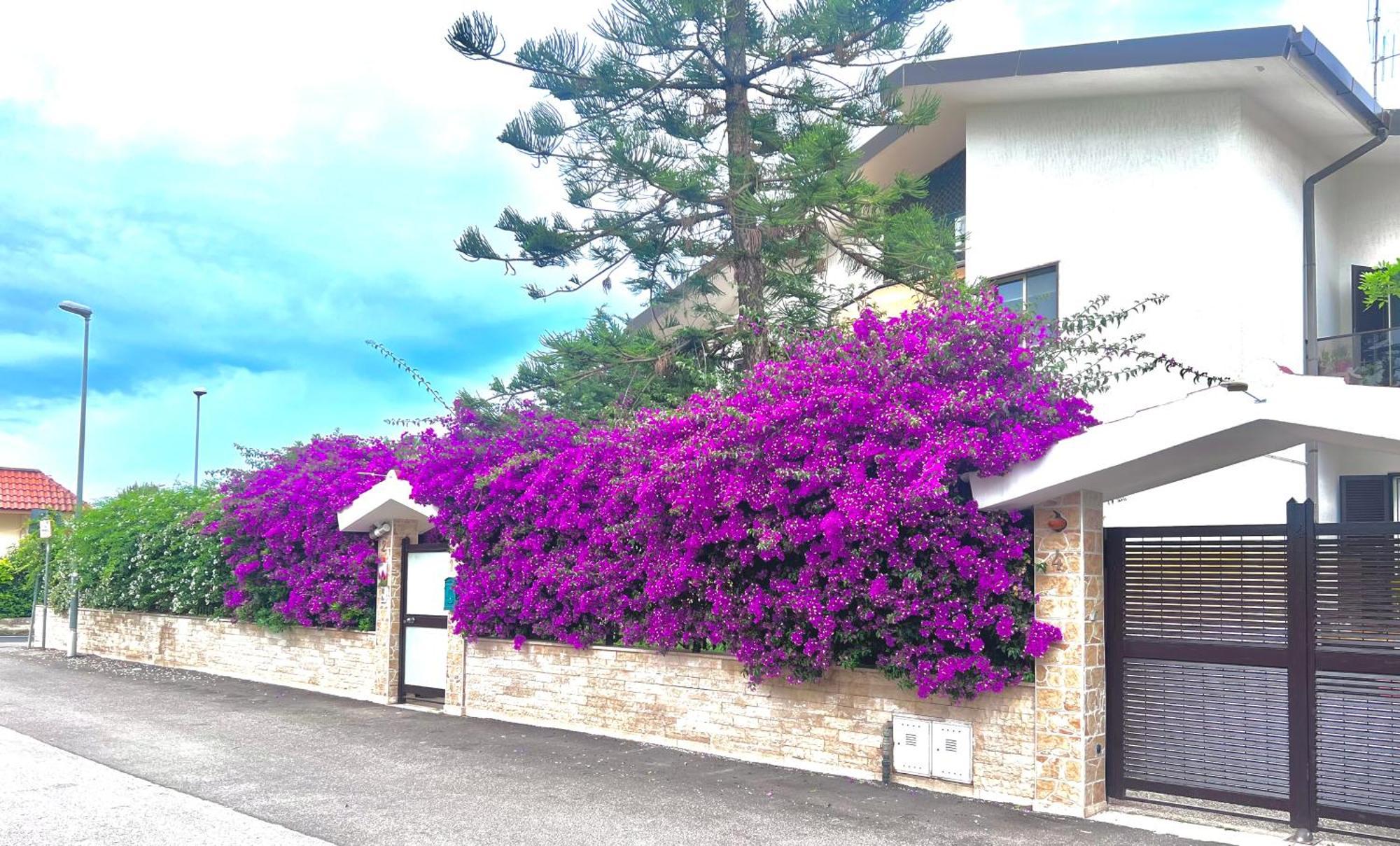 Tulipano Rosso Apartamento Bari Exterior foto